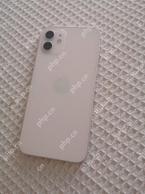 苹果手机如何从AppStore安装应用（详细步骤）