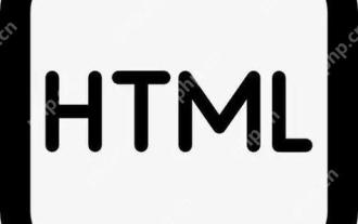 How to modify the playback control style of HTML video