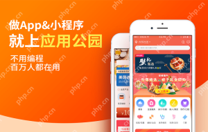 如何选择适合的APP商城制作公司？