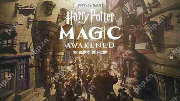 哈利波特魔法觉醒画面设置攻略