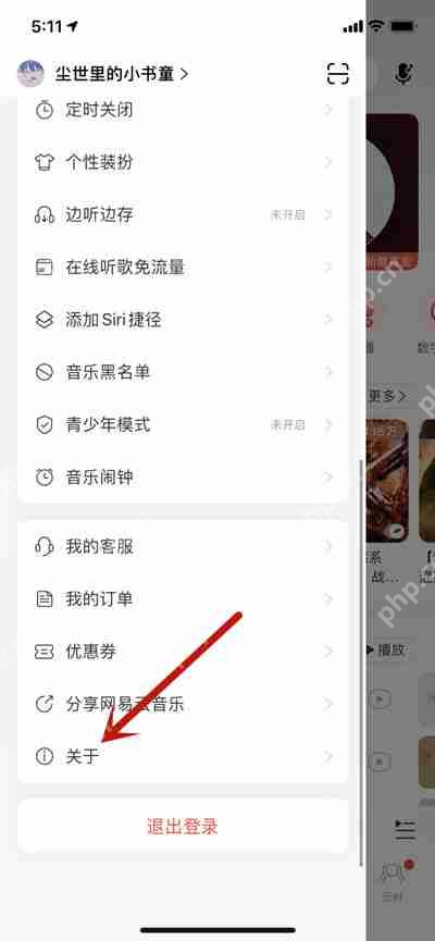 网易云音乐一颗彩蛋在哪里
