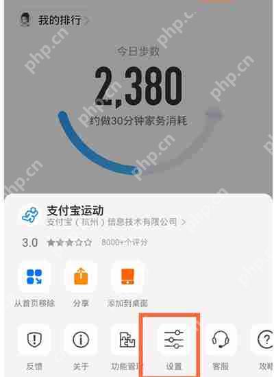 支付宝怎么开启运动记录