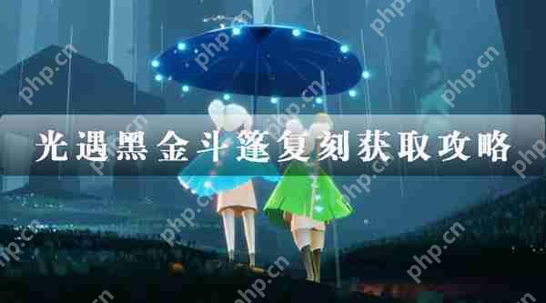 光遇黑金斗篷复刻获取攻略