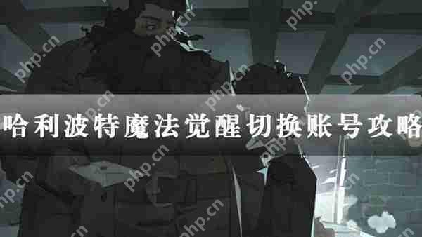哈利波特魔法觉醒切换账号攻略
