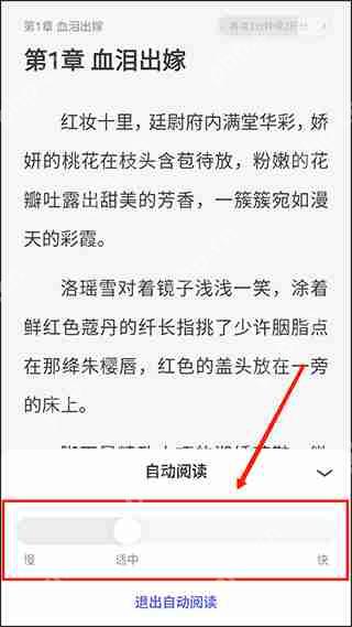 潇湘书院app开启自动阅读教程