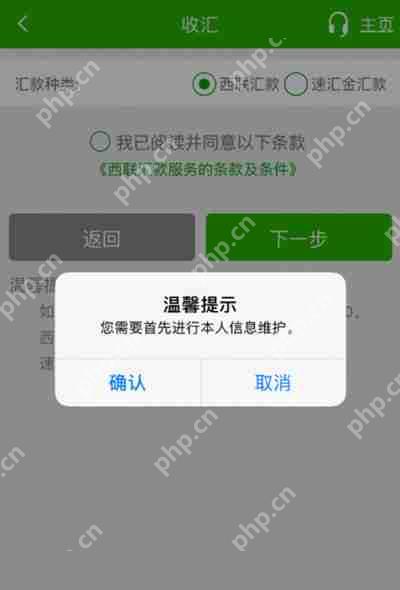 邮政银行app怎么结汇西联