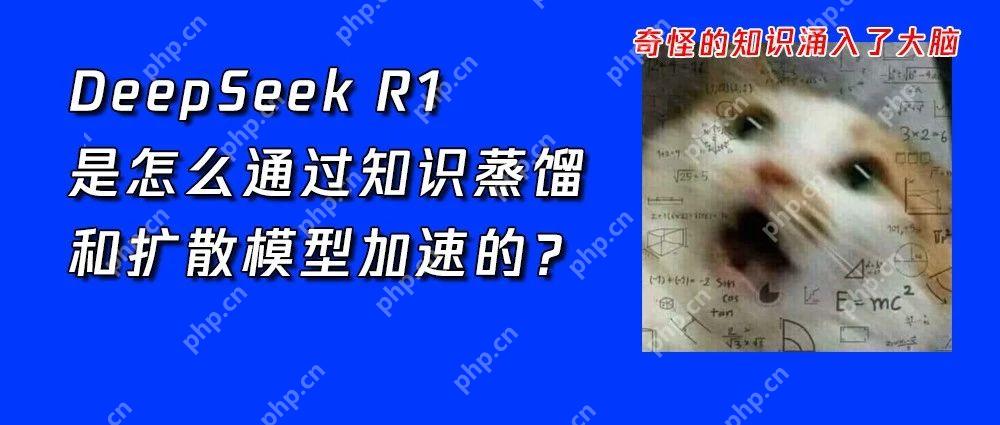 终于把知识蒸馏搞懂了！从DeepSeek R1到APT