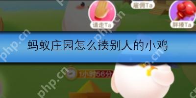 蚂蚁庄园怎么揍别人的小鸡