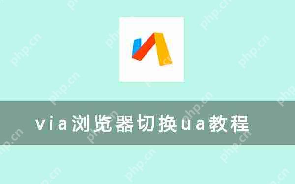 via浏览器切换ua教程