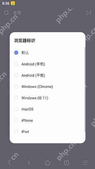 via浏览器切换ua教程