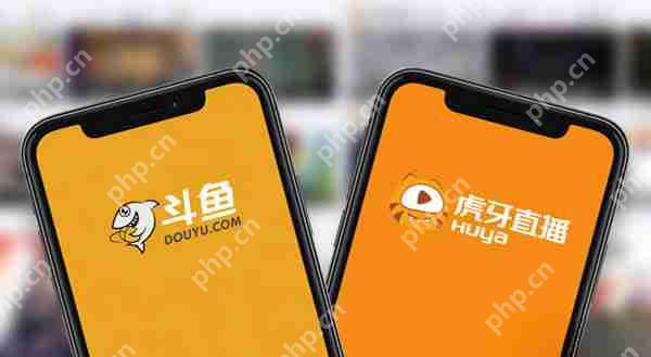 虎牙跟斗鱼的区别对比评测