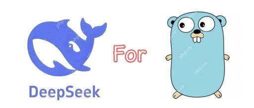 DeepSeek回答：AI时代Go语言学习路线