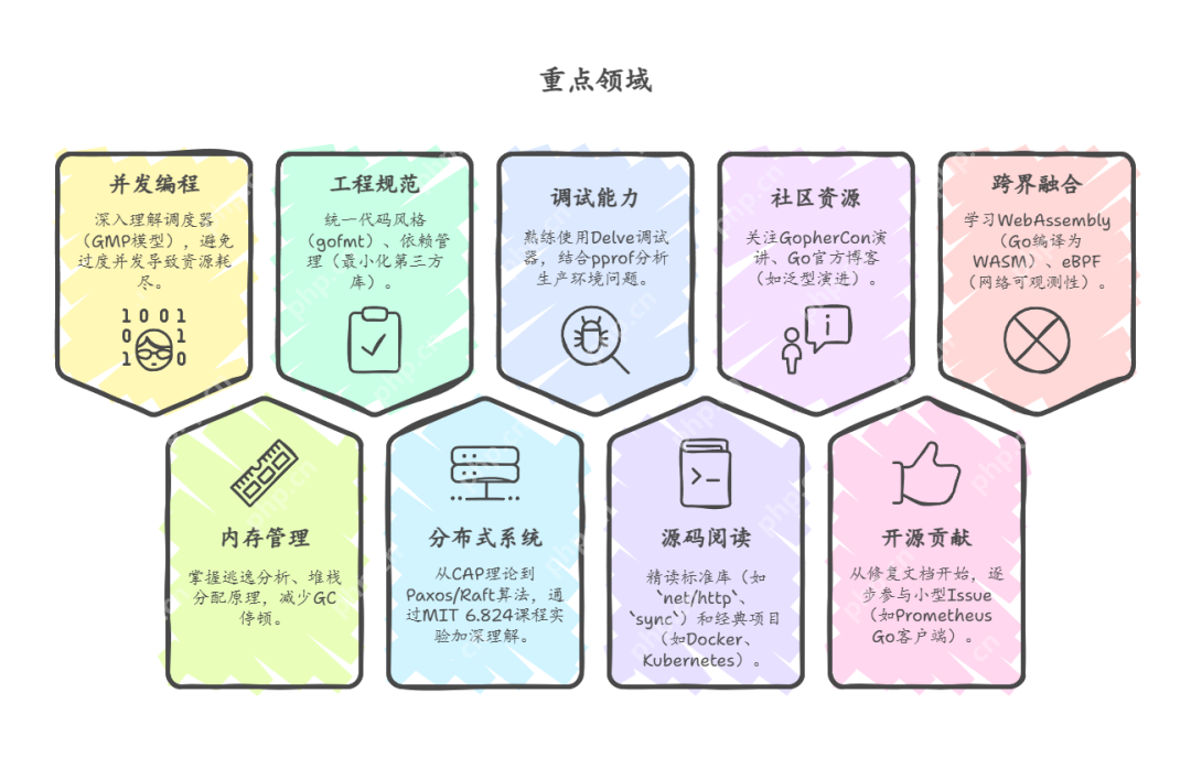 DeepSeek回答：AI时代Go语言学习路线