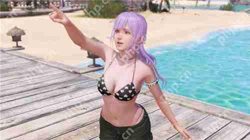 死或生维纳斯璀璨假期全人物图鉴 菲欧娜个人信息