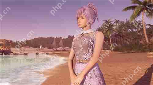 死或生维纳斯璀璨假期全人物图鉴 菲欧娜个人信息