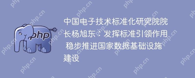 中国电子技术标准化研究院院长杨旭东：发挥标准引领作用 稳步推进国家数据基础设施建设