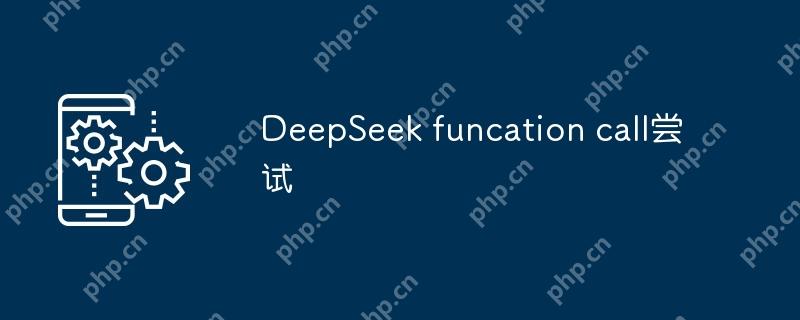 DeepSeek funcation call尝试