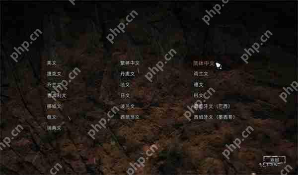 孤岛惊魂原始杀戮中文设置教程
