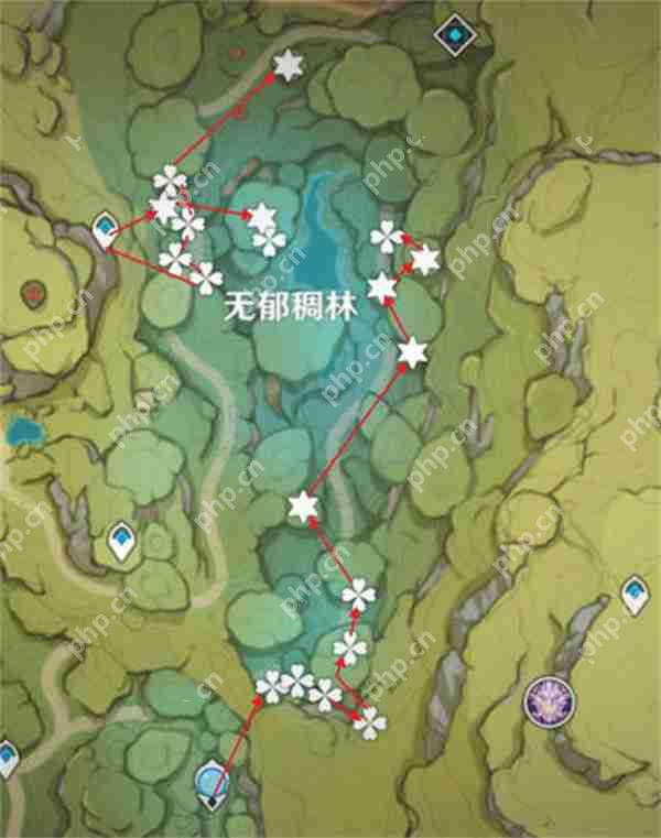 原神树王圣体菇采集路线攻略