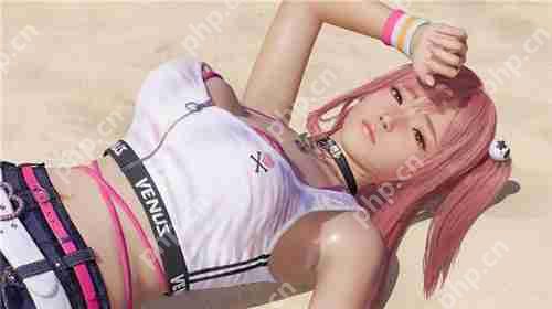 死或生维纳斯璀璨假期全人物图鉴 惠香个人信息