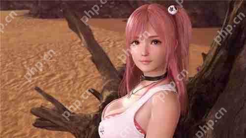 死或生维纳斯璀璨假期全人物图鉴 惠香个人信息