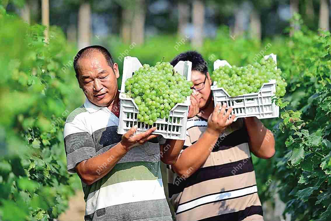 县城用APP卖水果蔬菜:来看“果蔬园”APP如何解决农产品销售难的问题