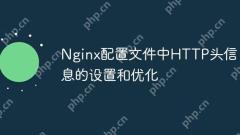 Setting and optimizing HTTP header information in Nginx configuration file