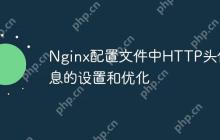 Nginx配置文件中HTTP头信息的设置和优化