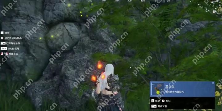 永劫无间火罗国萤火虫位置-火罗国萤火虫刷新点