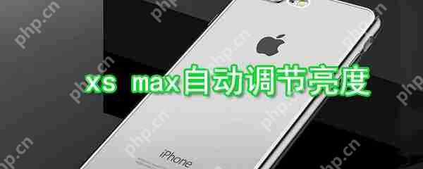 iPhonexs怎么自动调节亮度_xs max自动调节亮方法介绍