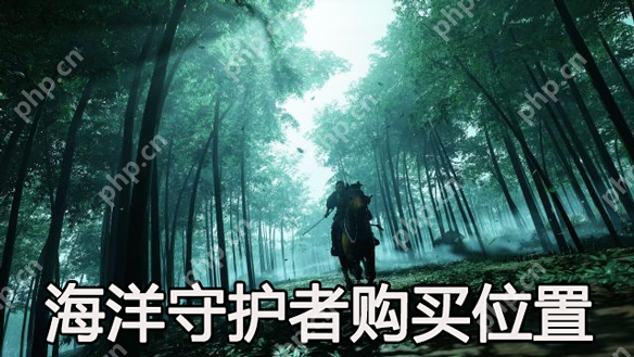 对马岛之魂导演剪辑版海洋守护者购买位置
