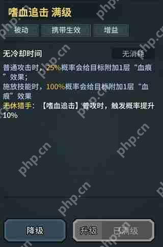 提灯与地下城魂剑士技能搭配攻略