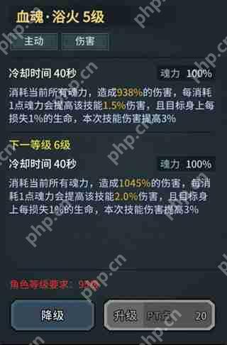 提灯与地下城魂剑士技能搭配攻略