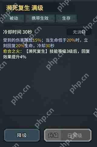 提灯与地下城魂剑士技能搭配攻略