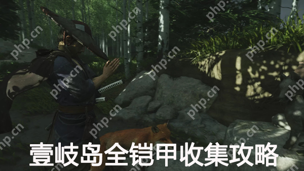 对马岛之魂导演剪辑版壹岐岛全铠甲收集攻略