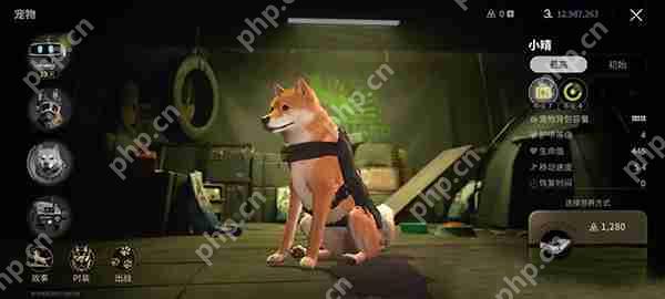 萤火突击宠物攻略及图鉴大全