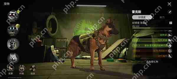 萤火突击宠物攻略及图鉴大全