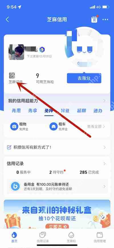 支付宝怎么出示芝麻证