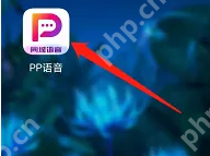 pp语音怎么换头像框 PP语音购买头像框方法