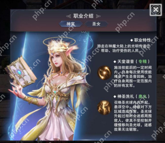 新神魔大陆神官技能介绍