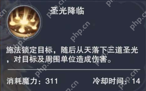 新神魔大陆神官技能介绍
