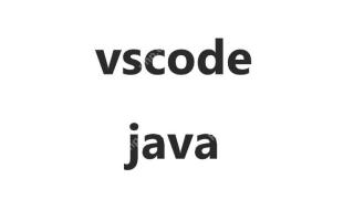 Use tips and recommendations for the VSCode plug-in market