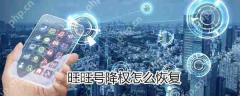 旺旺号降权如何恢复?旺旺号降权恢复方法分享