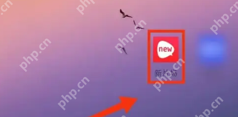新片场怎么用 新片场上传作品方法