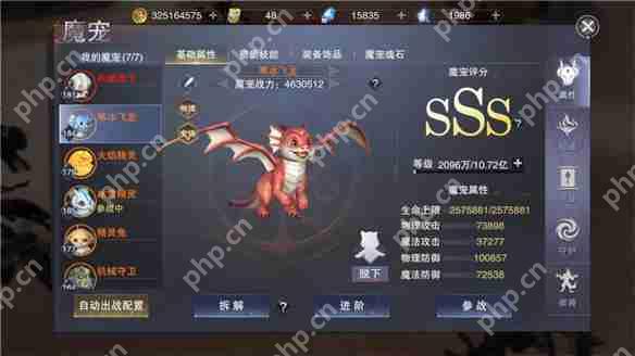 新神魔大陆咒术师攻略