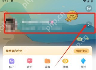 最右app怎么取消头像挂件 最右头像挂件取消方法