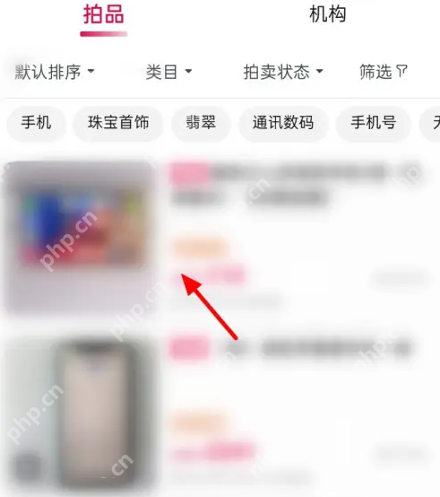 阿里拍卖怎么拍卖 阿里拍卖拍卖东西方法