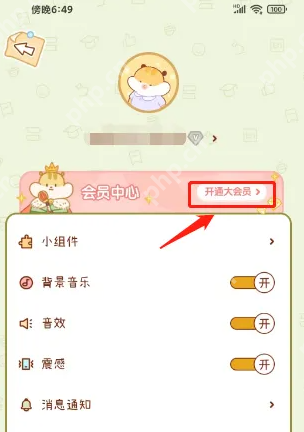 奶酪单词app怎么收费 奶酪单词开通大会员方法