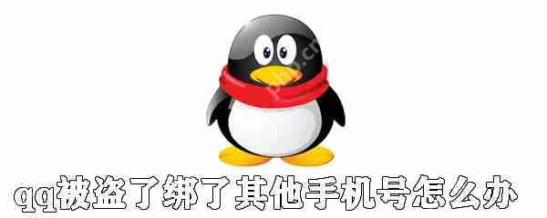 qq被盗了绑了其他手机号怎么办？qq号被盗找回方法解析