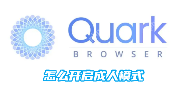 夸克浏览器设置成人模式的方法 - php中文网